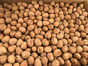 Walnuts Diamond 25kg <Natural Washed/Bleached>  
