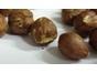 Hazelnuts packed in 5 kilo & 10 kilo cartons  