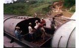 <p>Brazilnuts being transported from the interior to the factories for processing</p>