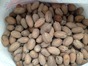 Pecans 10kg < NATURAL POLISHED >