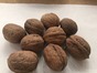 Walnuts in shell natural 5kg