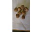 WALNUTS IN SHELL AUSTRALIAN NEW CROP 20kg