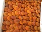 Apricots Dried 12.5kg