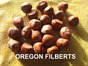 OREGON Natural  Filberts 25kg