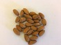 Almond Kernels 22.68kg