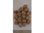 Walnuts Jumbo-Large 10 kg