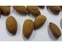 Almond Kernels 22.68kg