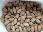 Pecans in shell 5kg