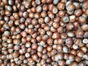 Italian/Natural Blend Filberts 25kg