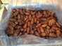 Nuts & Fruits