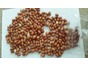 Bird Nut Peanuts to Clear stocks  + go to bulk kernels