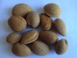 Almonds Hard Shell 25kg