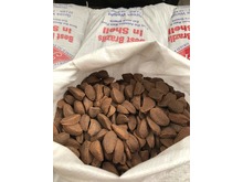 Brazils in shell - 22LB BAGS