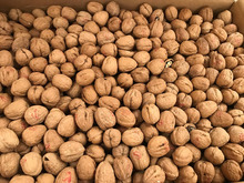 Walnuts Diamond 25kg < Natural Washed, NOT BLEACHED>  