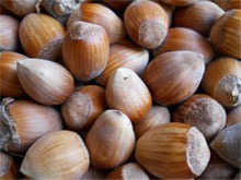 Hazelnuts