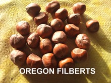 Easter-Passover Nuts  