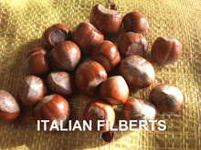Filberts Hazels in shell