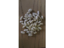 Peanuts clearance line  Blanched 25kg