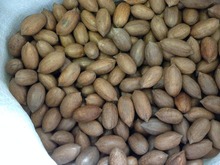 Pecans 10kg < NATURAL POLISHED >