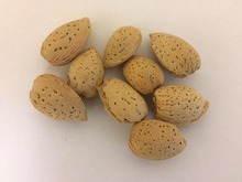 Almonds Soft Shell 50LB = 22.68kg