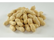 Peanuts