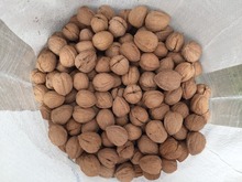 Walnuts USA NATURAL Jumbo-Large 25kg  in stock !! 