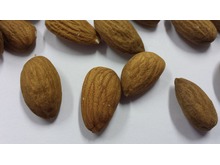 Almond Kernels 22.68kg