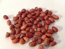 Peanuts Redskin Kernels 25kg