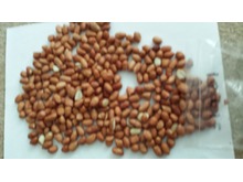 Bird Nut Peanuts to Clear stocks  + go to bulk kernels