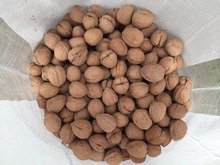 Walnuts Jumbo-Large 25kg  in stock !!  