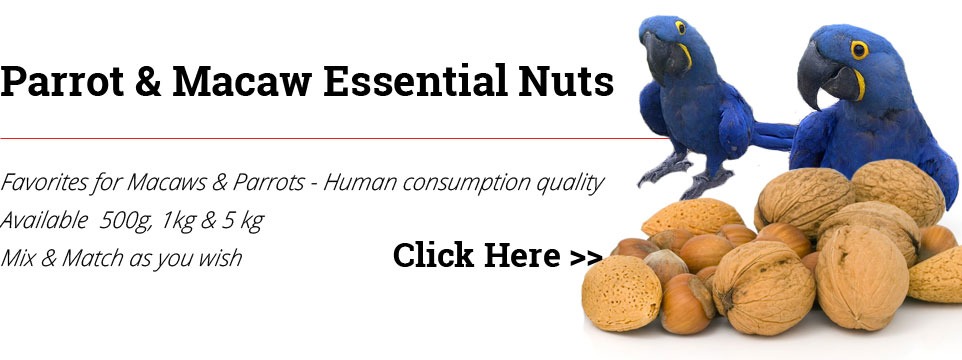 Parrot & Macaw Essential Nuts